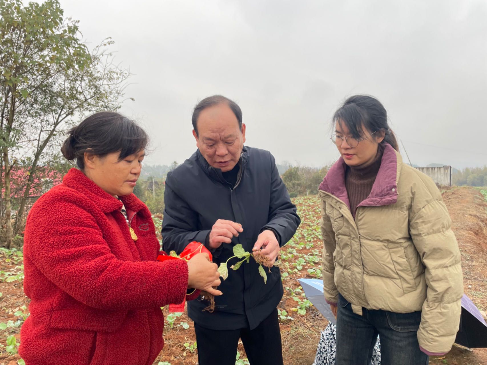 康林峰團隊開展2024年婁星區(qū)高素質農(nóng)民培育跟蹤服務